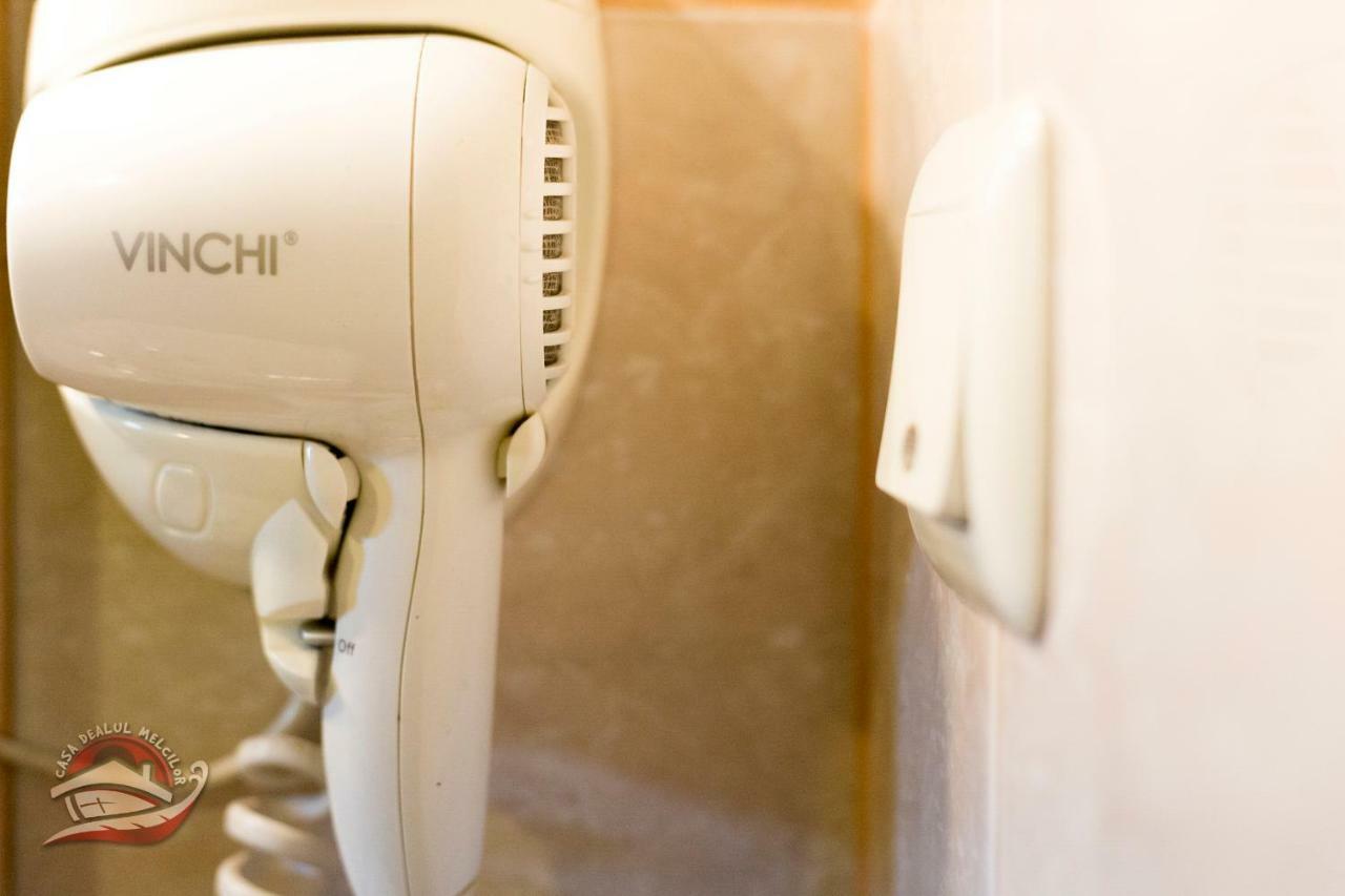 ホテルCasa Dealul Melcilor ブラショフ エクステリア 写真