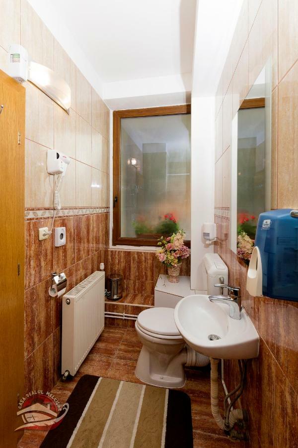 ホテルCasa Dealul Melcilor ブラショフ エクステリア 写真