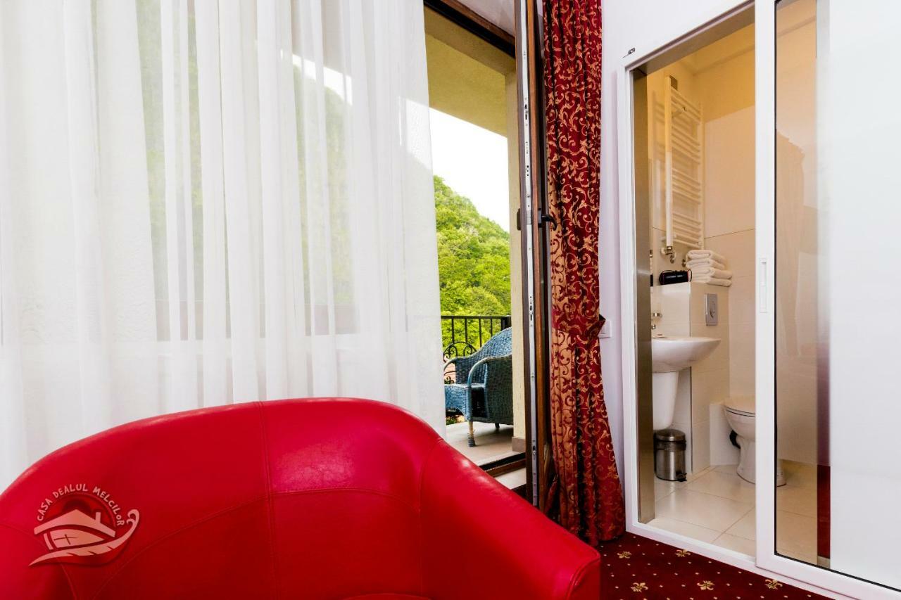 ホテルCasa Dealul Melcilor ブラショフ エクステリア 写真