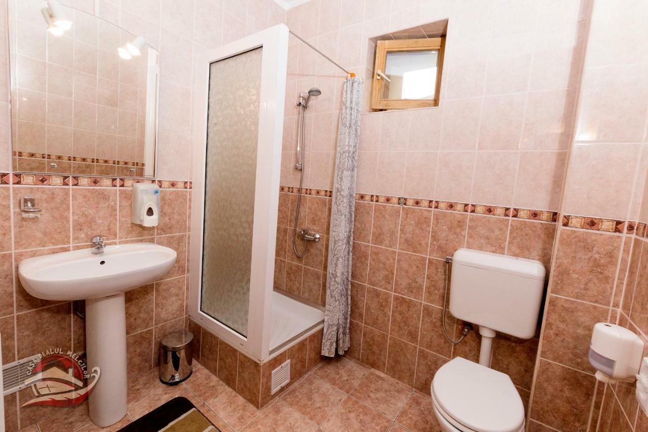 ホテルCasa Dealul Melcilor ブラショフ エクステリア 写真